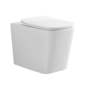 Luna Back To Wall Pan Including Soft Close Seat