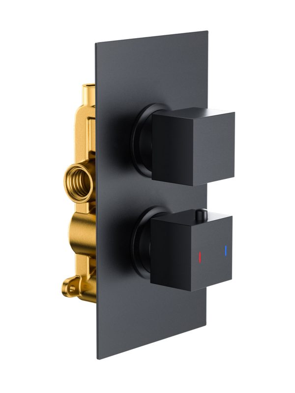 Black Dual Control Square Shower Valve (1 Outlet)