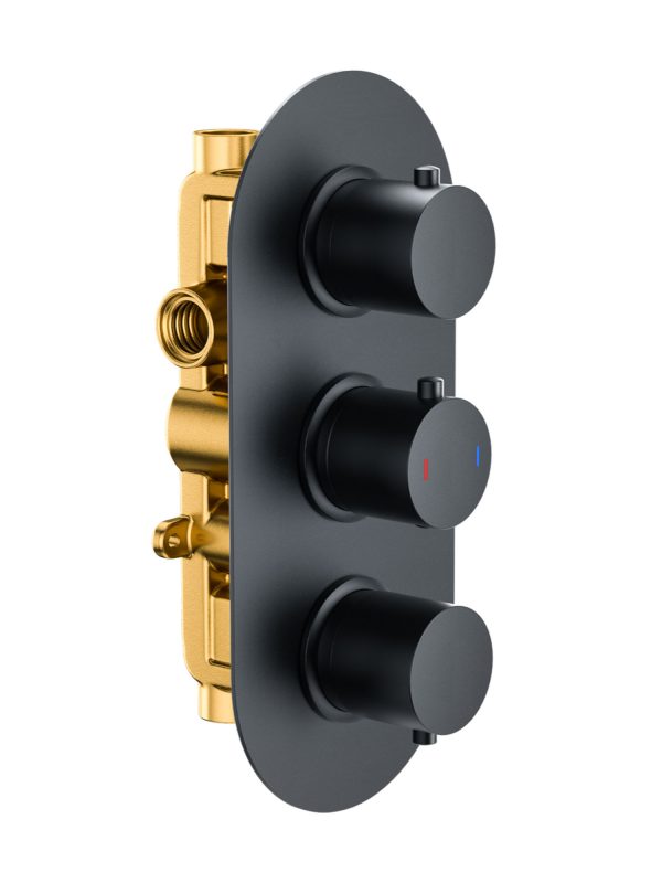 Black Triple Control Round Shower Valve (2 Outlet)
