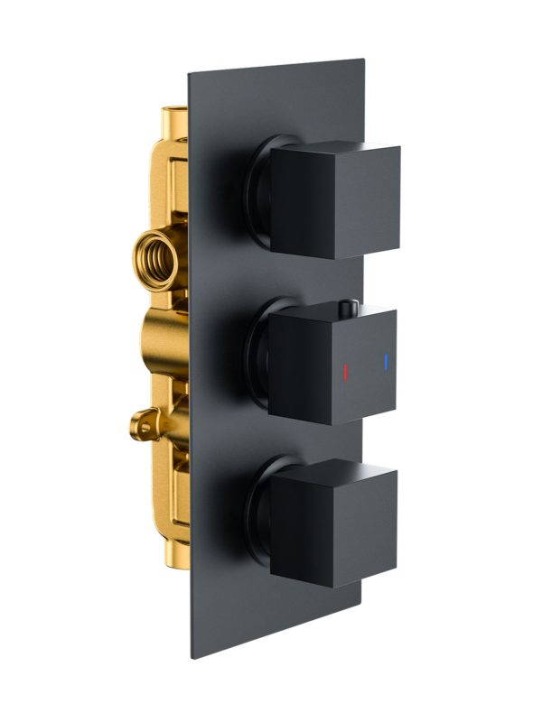 Black Triple Control Square Shower Valve (2 Outlet)