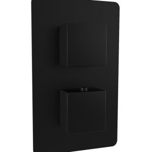 Black Dual Control Square Shower Valve (1 Outlet)